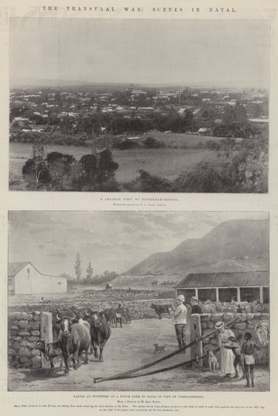 The Transvaal War, Scenes in Natal by Paul Frenzeny